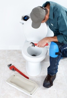clogged-toilet-repair