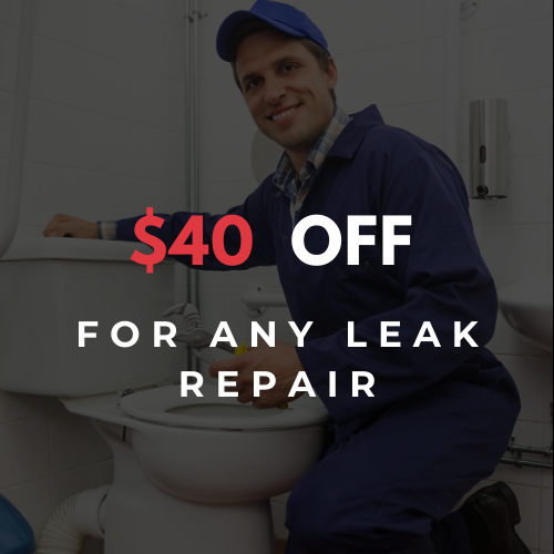 toilet-repair-offer